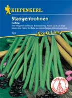 KIEPENKERL Stangenbohnensamen „Cobra“ 5 KIEPENKERL Stangenbohnensamen „Cobra“ – Bild 3