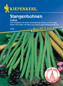 KIEPENKERL Stangenbohnensamen „Cobra“