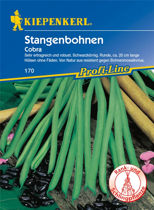 KIEPENKERL Stangenbohnensamen „Cobra“ 3 KIEPENKERL Stangenbohnensamen „Cobra“