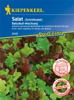 KIEPENKERL Babyleaf-Salat Samen 5 KIEPENKERL Babyleaf-Salat Samen – Bild 3