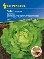 KIEPENKERL Kopfsalatsamen „Dynamite“ 5 KIEPENKERL Kopfsalatsamen „Dynamite“ – Bild 3