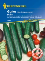 KIEPENKERL Midi-Schlangengurkensamen „Midios F1“ 5 KIEPENKERL Midi-Schlangengurkensamen „Midios F1“ – Bild 3