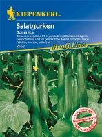 KIEPENKERL Gurkensamen „Dominica F1“ 5 KIEPENKERL Gurkensamen „Dominica F1“ – Bild 3