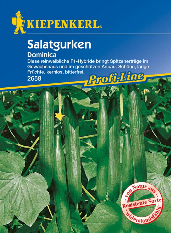 KIEPENKERL Gurkensamen „Dominica F1“ 3 KIEPENKERL Gurkensamen „Dominica F1“