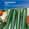 KIEPENKERL Gurkensamen „Saladin“ 1 KIEPENKERL Gurkensamen „Saladin“ -Blumen Risse Verkaufsladen 2660 VS 800x800