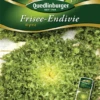 QUEDLINBURGER Frisee-Endivie-Samen „Myrna“