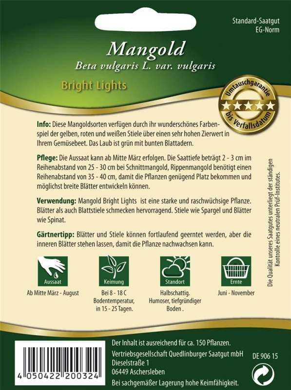 QUEDLINBURGER Blatt-Mangoldsamen „Bright Lights“ 4 QUEDLINBURGER Blatt-Mangoldsamen „Bright Lights“ – Bild 2
