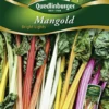QUEDLINBURGER Blatt-Mangoldsamen „Bright Lights“ 2 QUEDLINBURGER Blatt-Mangoldsamen „Bright Lights“ -Blumen Risse Verkaufsladen 290032 4050422200324 VS20Mangold20Bright20Lights 800x800