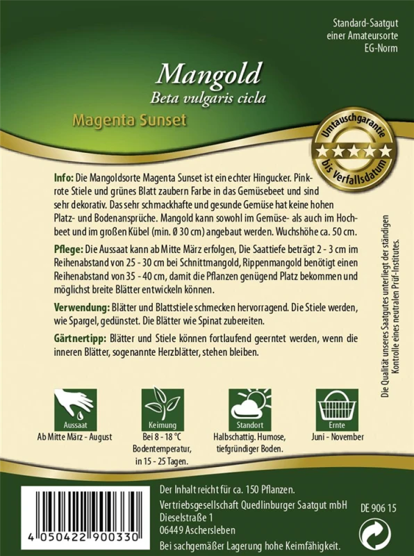 QUEDLINBURGER Mangoldsamen „Magenta Sunset“ 4 QUEDLINBURGER Mangoldsamen „Magenta Sunset“ – Bild 2