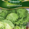 QUEDLINBURGER Batavia-Salat-Samen „Leny“ 2 QUEDLINBURGER Batavia-Salat-Samen „Leny“ -Blumen Risse Verkaufsladen 290044 4050422200447 VS20Salat20Batavia 20Leny 800x800