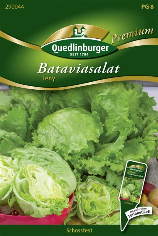 QUEDLINBURGER Batavia-Salat-Samen „Leny“ 3 QUEDLINBURGER Batavia-Salat-Samen „Leny“