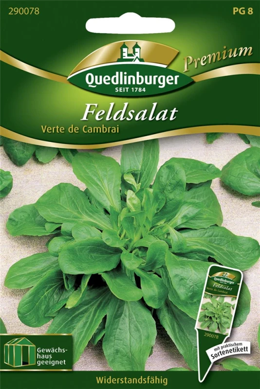 QUEDLINBURGER Feldsalatsamen „Verte De Cambrai“ 4 QUEDLINBURGER Feldsalatsamen „Verte De Cambrai“ – Bild 2