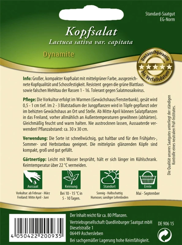 QUEDLINBURGER Kopfsalat „Dynamite“ 4 QUEDLINBURGER Kopfsalat „Dynamite“ – Bild 2