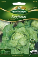 QUEDLINBURGER Kopfsalat „Dynamite“ 5 QUEDLINBURGER Kopfsalat „Dynamite“ – Bild 3