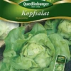 QUEDLINBURGER Kopfsalat „Dynamite“ 2 QUEDLINBURGER Kopfsalat „Dynamite“ -Blumen Risse Verkaufsladen 290093 4050422200935 VS20Salat20Kopf 20Dynamite 800x800