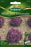 QUEDLINBURGER Eichblattsalatsamen „Jenny“ 5 QUEDLINBURGER Eichblattsalatsamen „Jenny“ – Bild 3