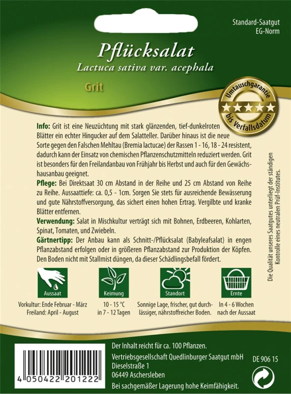 QUEDLINBURGER Eichblattsalatsamen „Grit“ 4 QUEDLINBURGER Eichblattsalatsamen „Grit“ – Bild 2
