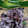 QUEDLINBURGER Eichblattsalatsamen „Grit“