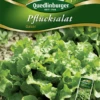 QUEDLINBURGER Eichblattsalatsamen „Oaker“