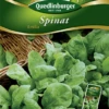 QUEDLINBURGER Spinatsamen „Emilia“