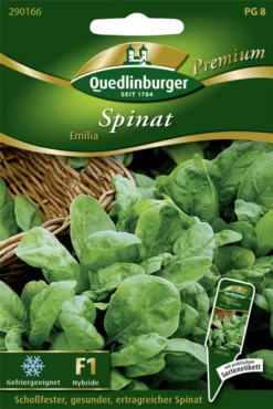 QUEDLINBURGER Spinatsamen „Emilia“