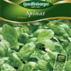 QUEDLINBURGER Spinatsamen „Celesta“ -Blumen Risse Verkaufsladen 290176 4050422901764 VS20Spinat20Celesta 800x800
