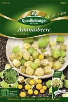 QUEDLINBURGER Ananasbeerensamen „Early Yellow“ 5 QUEDLINBURGER Ananasbeerensamen „Early Yellow“ – Bild 3