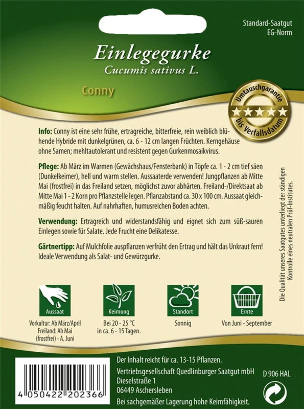QUEDLINBURGER Gurkensamen „Conny F1“ 4 QUEDLINBURGER Gurkensamen „Conny F1“ – Bild 2