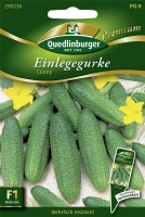QUEDLINBURGER Gurkensamen „Conny F1“ 5 QUEDLINBURGER Gurkensamen „Conny F1“ – Bild 3