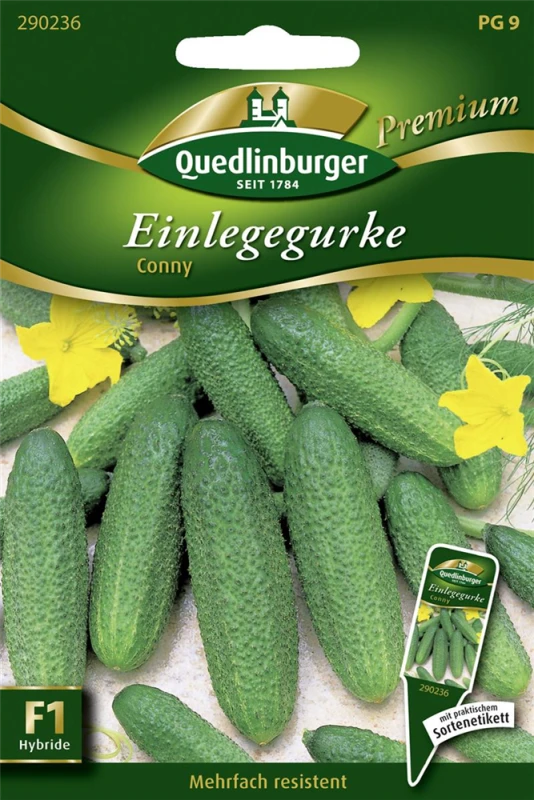 QUEDLINBURGER Gurkensamen „Conny F1“ 3 QUEDLINBURGER Gurkensamen „Conny F1“