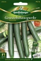 QUEDLINBURGER Gurkensamen „Marumba“ 5 QUEDLINBURGER Gurkensamen „Marumba“ – Bild 3
