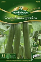 QUEDLINBURGER Gurkensamen „Bella“ 5 QUEDLINBURGER Gurkensamen „Bella“ – Bild 3