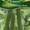 QUEDLINBURGER Gurkensamen „Bella“ 2 QUEDLINBURGER Gurkensamen „Bella“ -Blumen Risse Verkaufsladen 290257 4050422202571 VS 800x800