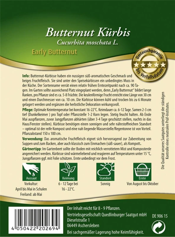QUEDLINBURGER Kürbissamen „Early Butter Nut F1“ 4 QUEDLINBURGER Kürbissamen „Early Butter Nut F1“ – Bild 2