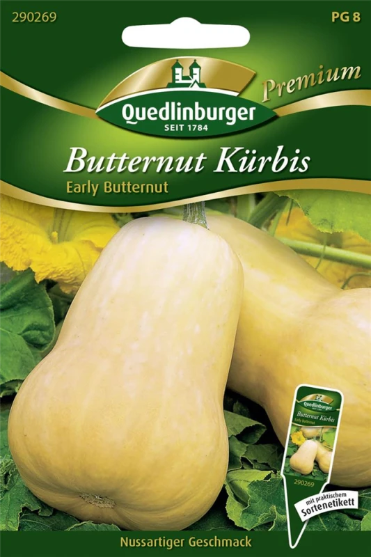 QUEDLINBURGER Kürbissamen „Early Butter Nut F1“ 3 QUEDLINBURGER Kürbissamen „Early Butter Nut F1“