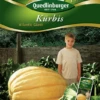 QUEDLINBURGER Kürbissamen „Atlantic Giant“ 1 QUEDLINBURGER Kürbissamen „Atlantic Giant“ -Blumen Risse Verkaufsladen 290278 4050422202786 VS 800x800
