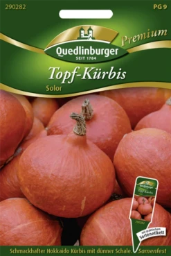 QUEDLINBURGER Hokkaidokürbissamen „Solor“