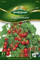 QUEDLINBURGER Tomatensamen „Fiaschetto F1“ 5 QUEDLINBURGER Tomatensamen „Fiaschetto F1“ – Bild 3