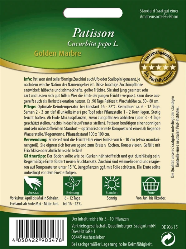 QUEDLINBURGER Patissonsamen „Golden Marbre“ 4 QUEDLINBURGER Patissonsamen „Golden Marbre“ – Bild 2