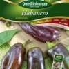 QUEDLINBURGER Habanerosamen „Chocolate“ 1 QUEDLINBURGER Habanerosamen „Chocolate“ -Blumen Risse Verkaufsladen 290378 4050422203783 VS20Habanero20Chocolate 800x800