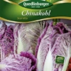 QUEDLINBURGER Chinakohlsamen „Scarvita“ 1 QUEDLINBURGER Chinakohlsamen „Scarvita“ -Blumen Risse Verkaufsladen 290418 4050422904185 Chinakohl20Scarvita VS 800x800