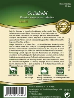 QUEDLINBURGER Grünkohlsamen „Scarlet“ 6 QUEDLINBURGER Grünkohlsamen „Scarlet“ – Bild 4