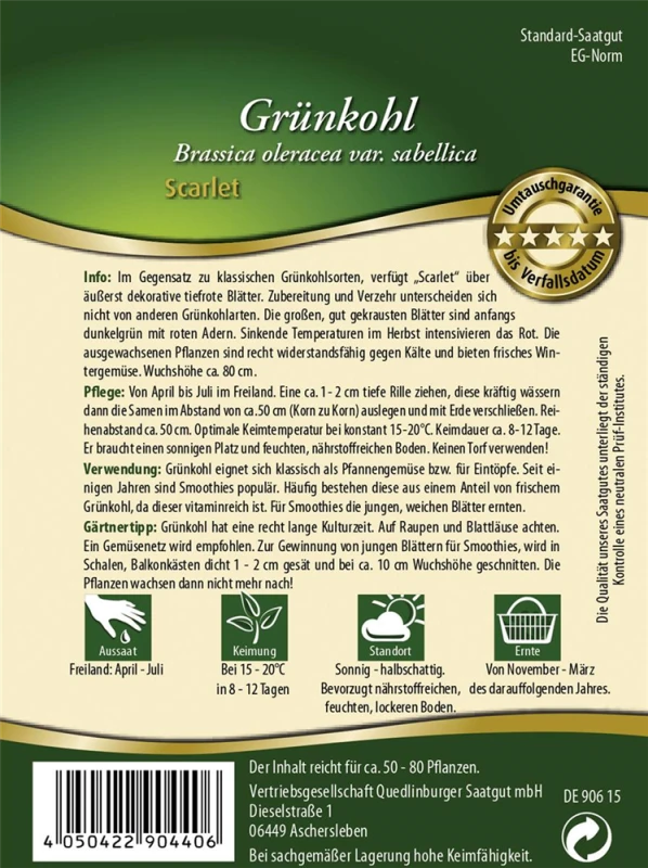 QUEDLINBURGER Grünkohlsamen „Scarlet“ 4 QUEDLINBURGER Grünkohlsamen „Scarlet“ – Bild 2