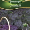 QUEDLINBURGER Grünkohlsamen „Scarlet“