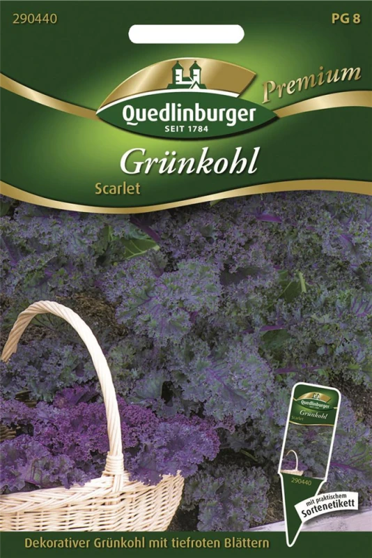 QUEDLINBURGER Grünkohlsamen „Scarlet“ 3 QUEDLINBURGER Grünkohlsamen „Scarlet“