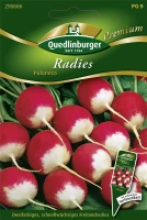 QUEDLINBURGER Radieschensamen „Poloneza“ 5 QUEDLINBURGER Radieschensamen „Poloneza“ – Bild 3