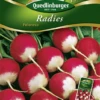QUEDLINBURGER Radieschensamen „Poloneza“ 2 QUEDLINBURGER Radieschensamen „Poloneza“ -Blumen Risse Verkaufsladen 290666 4050422206661 VS20Radies20Poloneza 800x800