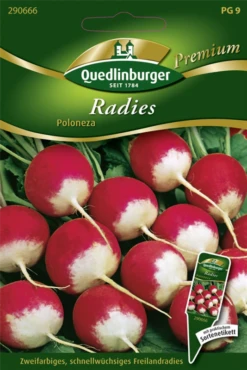 QUEDLINBURGER Radieschensamen „Poloneza“