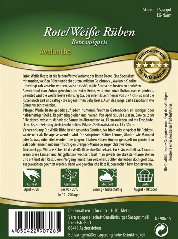 QUEDLINBURGER Weiße Bete-Samen „Avalanche“ 4 QUEDLINBURGER Weiße Bete-Samen „Avalanche“ – Bild 2