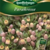 QUEDLINBURGER Parakressesamen 1 QUEDLINBURGER Parakressesamen -Blumen Risse Verkaufsladen 290997 4050422209976 VS20Parakresse 800x800